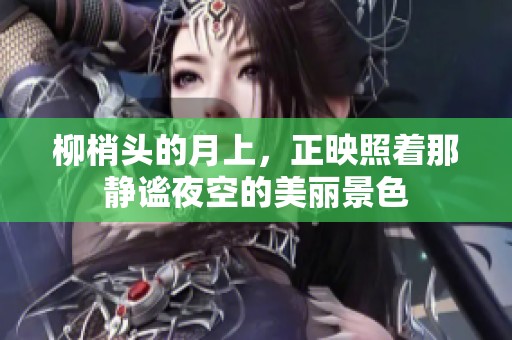 柳梢头的月上，正映照着那静谧夜空的美丽景色