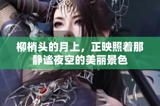 柳梢头的月上，正映照着那静谧夜空的美丽景色
