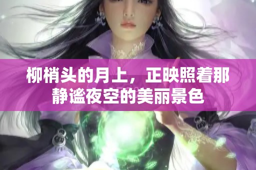 柳梢头的月上，正映照着那静谧夜空的美丽景色