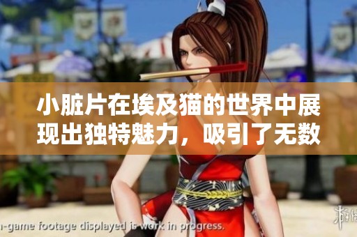 小脏片在埃及猫的世界中展现出独特魅力，吸引了无数爱好者的关注