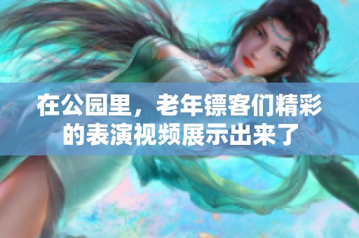 在公园里，老年镖客们精彩的表演视频展示出来了
