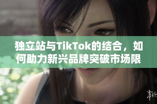 独立站与TikTok的结合，如何助力新兴品牌突破市场限制