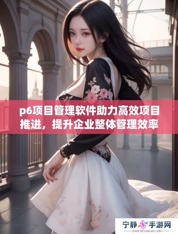 p6项目管理软件助力高效项目推进，提升企业整体管理效率和协作能力