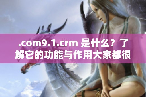 .com9.1.crm 是什么？了解它的功能与作用大家都很关心