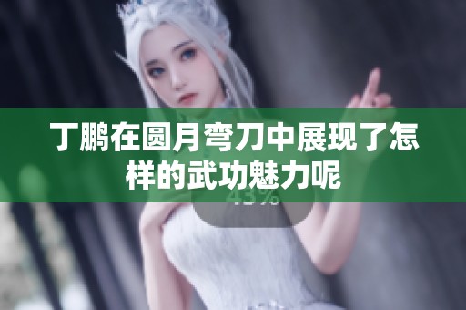 丁鹏在圆月弯刀中展现了怎样的武功魅力呢