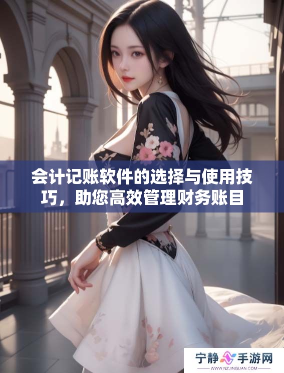 会计记账软件的选择与使用技巧，助您高效管理财务账目