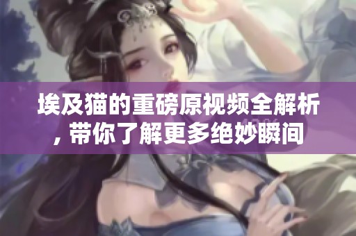 埃及猫的重磅原视频全解析, 带你了解更多绝妙瞬间