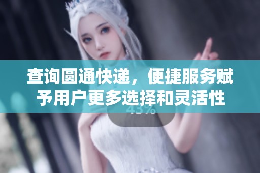 查询圆通快递，便捷服务赋予用户更多选择和灵活性