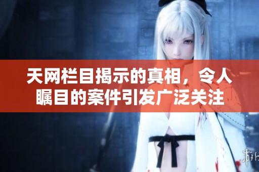 天网栏目揭示的真相，令人瞩目的案件引发广泛关注
