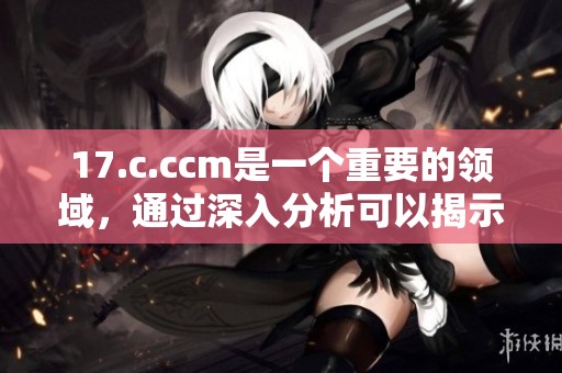 17.c.ccm是一个重要的领域，通过深入分析可以揭示许多潜在的机会与挑战