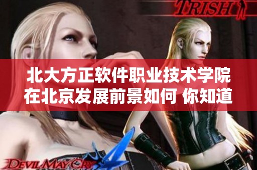 北大方正软件职业技术学院在北京发展前景如何 你知道吗