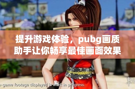 提升游戏体验，pubg画质助手让你畅享最佳画面效果