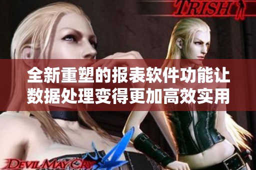 全新重塑的报表软件功能让数据处理变得更加高效实用