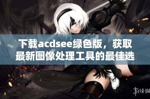 下载acdsee绿色版，获取最新图像处理工具的最佳选择