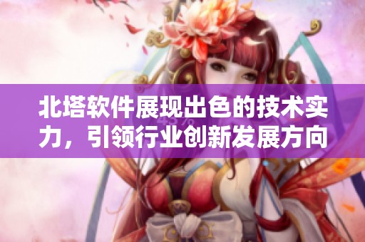 北塔软件展现出色的技术实力，引领行业创新发展方向