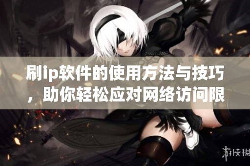 刷ip软件的使用方法与技巧，助你轻松应对网络访问限制。