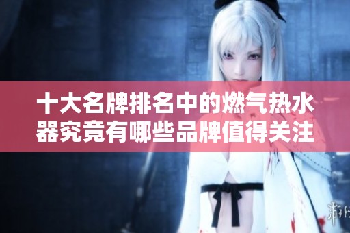 十大名牌排名中的燃气热水器究竟有哪些品牌值得关注呢