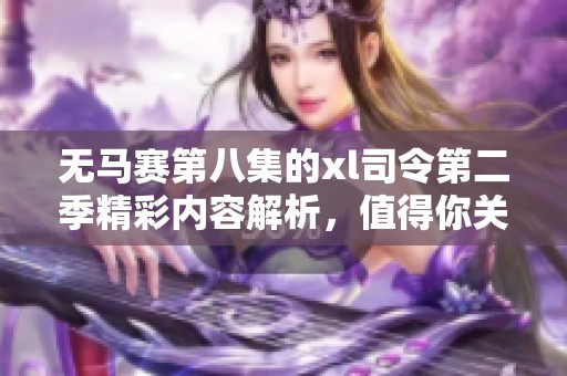 无马赛第八集的xl司令第二季精彩内容解析，值得你关注与期待