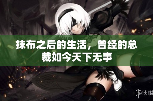 抹布之后的生活，曾经的总裁如今天下无事
