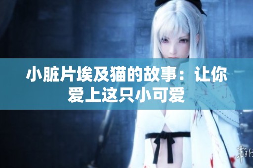 小脏片埃及猫的故事：让你爱上这只小可爱