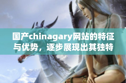 国产chinagary网站的特征与优势，逐步展现出其独特魅力和影响力