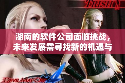 湖南的软件公司面临挑战，未来发展需寻找新的机遇与创新策略