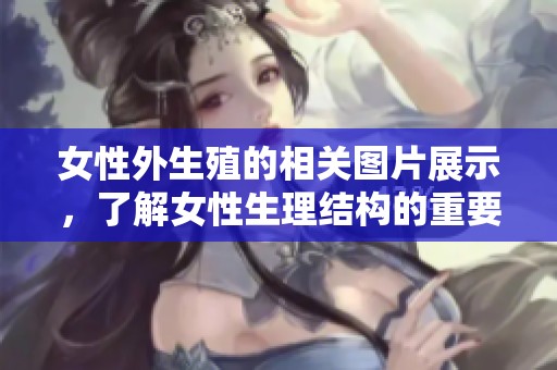 女性外生殖的相关图片展示，了解女性生理结构的重要性与意义