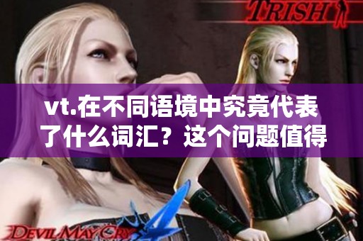 vt.在不同语境中究竟代表了什么词汇？这个问题值得我们深入探讨。