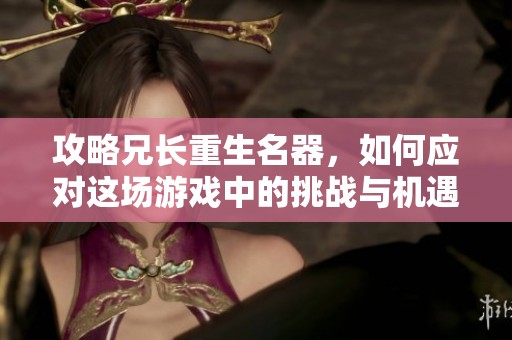 攻略兄长重生名器，如何应对这场游戏中的挑战与机遇