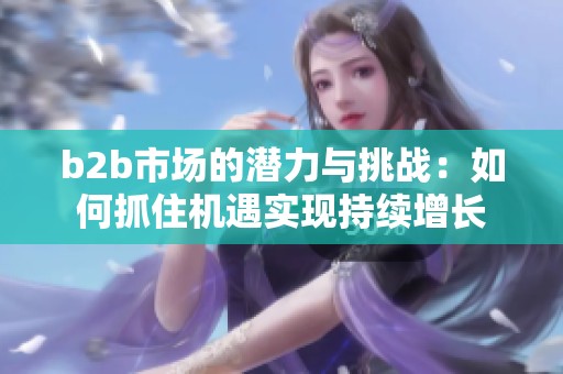 b2b市场的潜力与挑战：如何抓住机遇实现持续增长