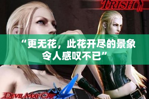 “更无花，此花开尽的景象令人感叹不已”